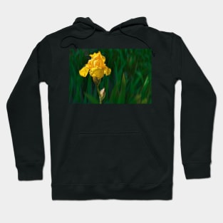 Yellow Iris photograph Hoodie